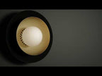 Carapace Ceiling/Wall Mounted Light