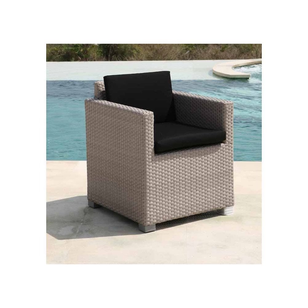 Pair of Pacific Dining Arm Chairs