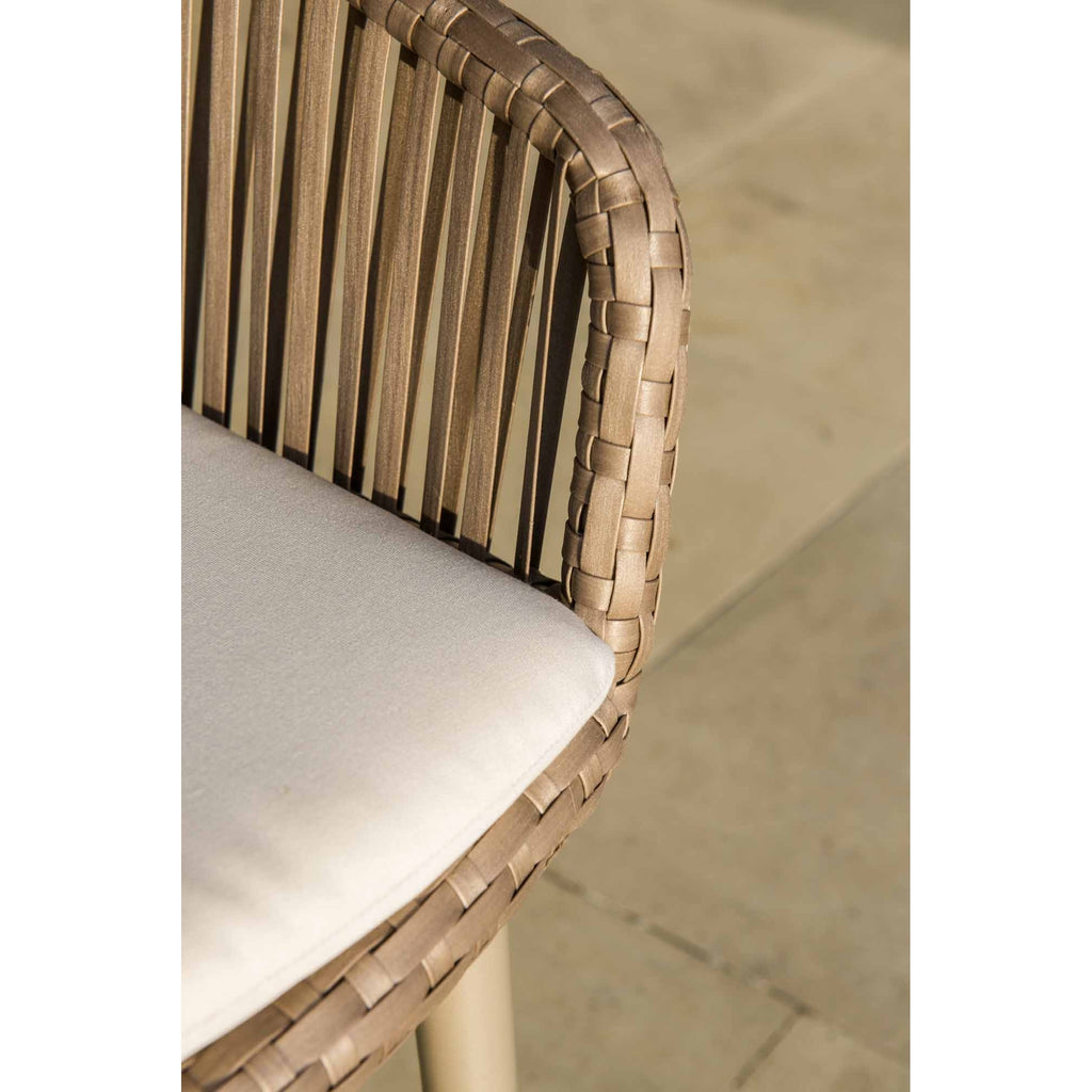 Pair of Valetti Dining Chairs