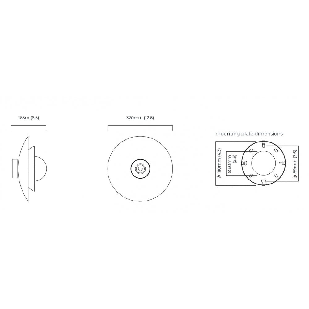 Carapace Ceiling/Wall Mounted Light