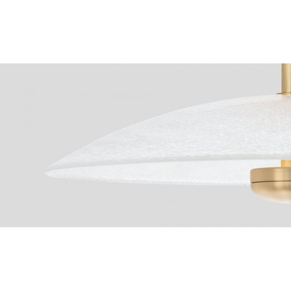Cielo Ceiling/Wall Mounted Light