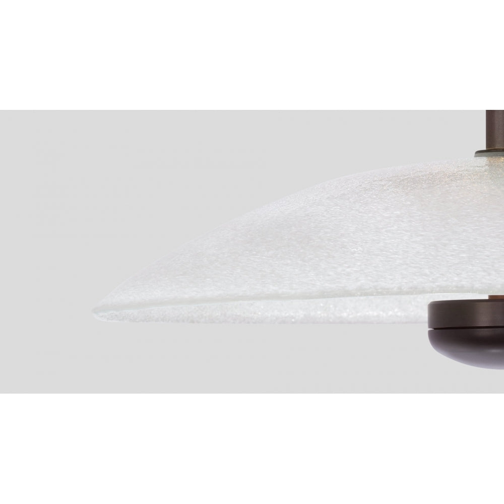 Cielo Ceiling/Wall Mounted Light