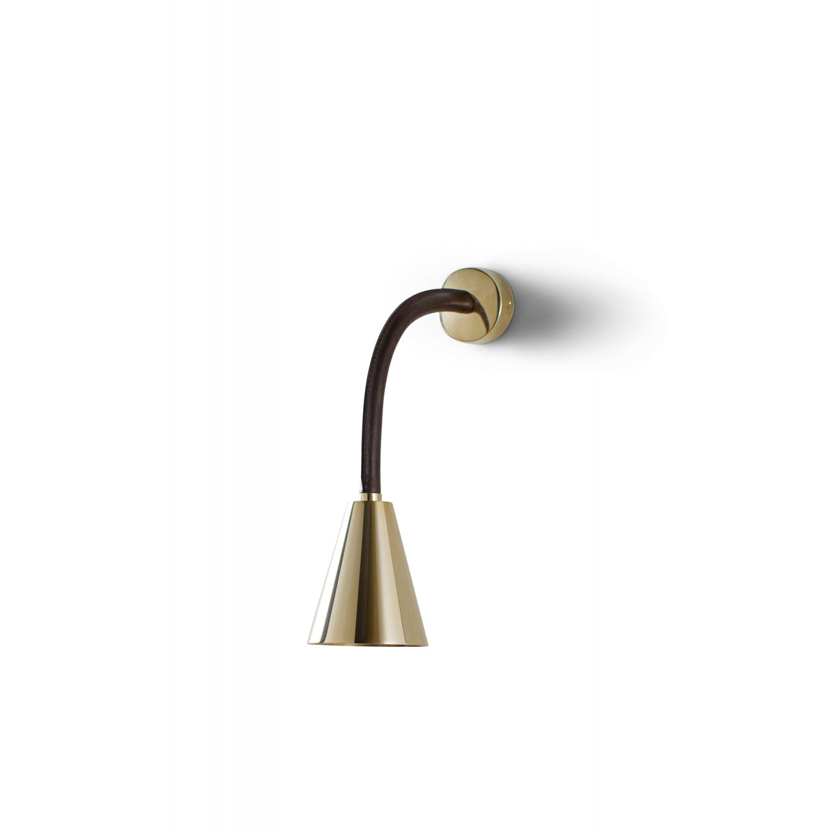 Huxley Flexible Wall Light