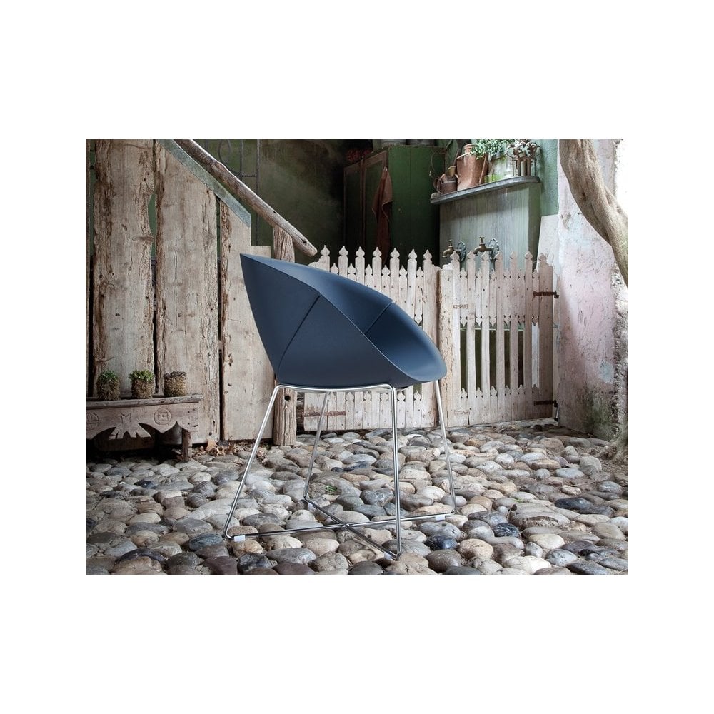 Pair of Coquille Dining Chairs