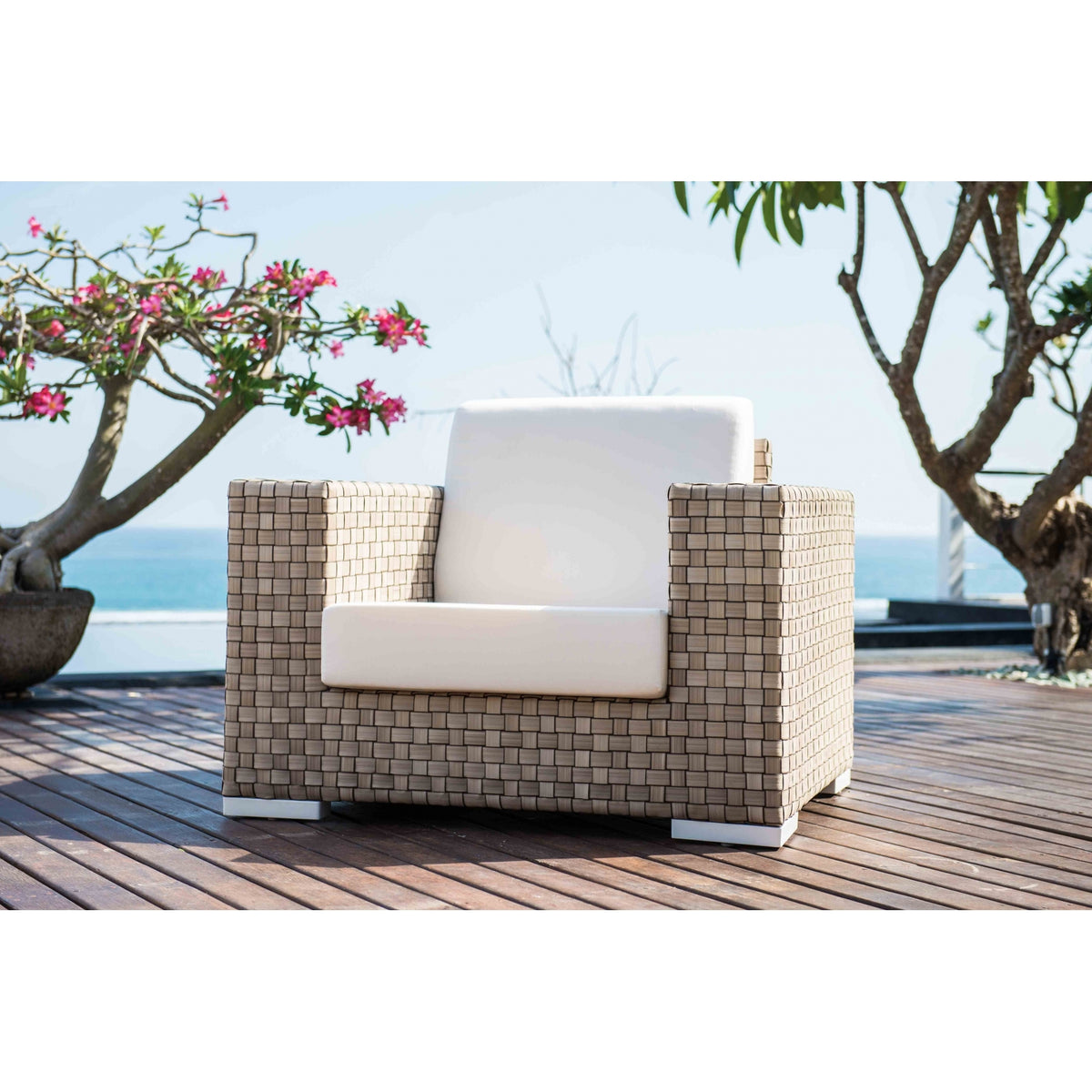 Brando Arm Chair