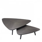 Lauren Set Of 2 Coffee Tables