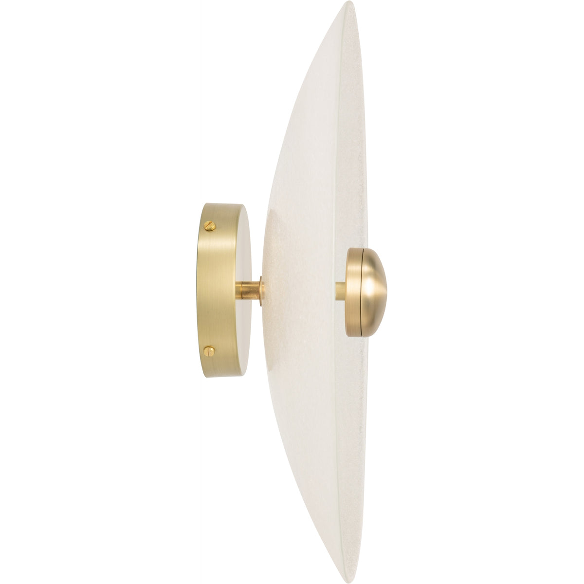 Cielo Ceiling/Wall Mounted Light