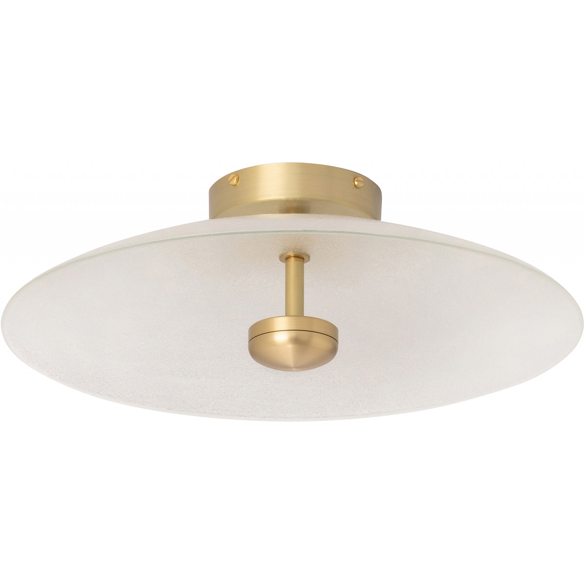 Cielo Ceiling/Wall Mounted Light