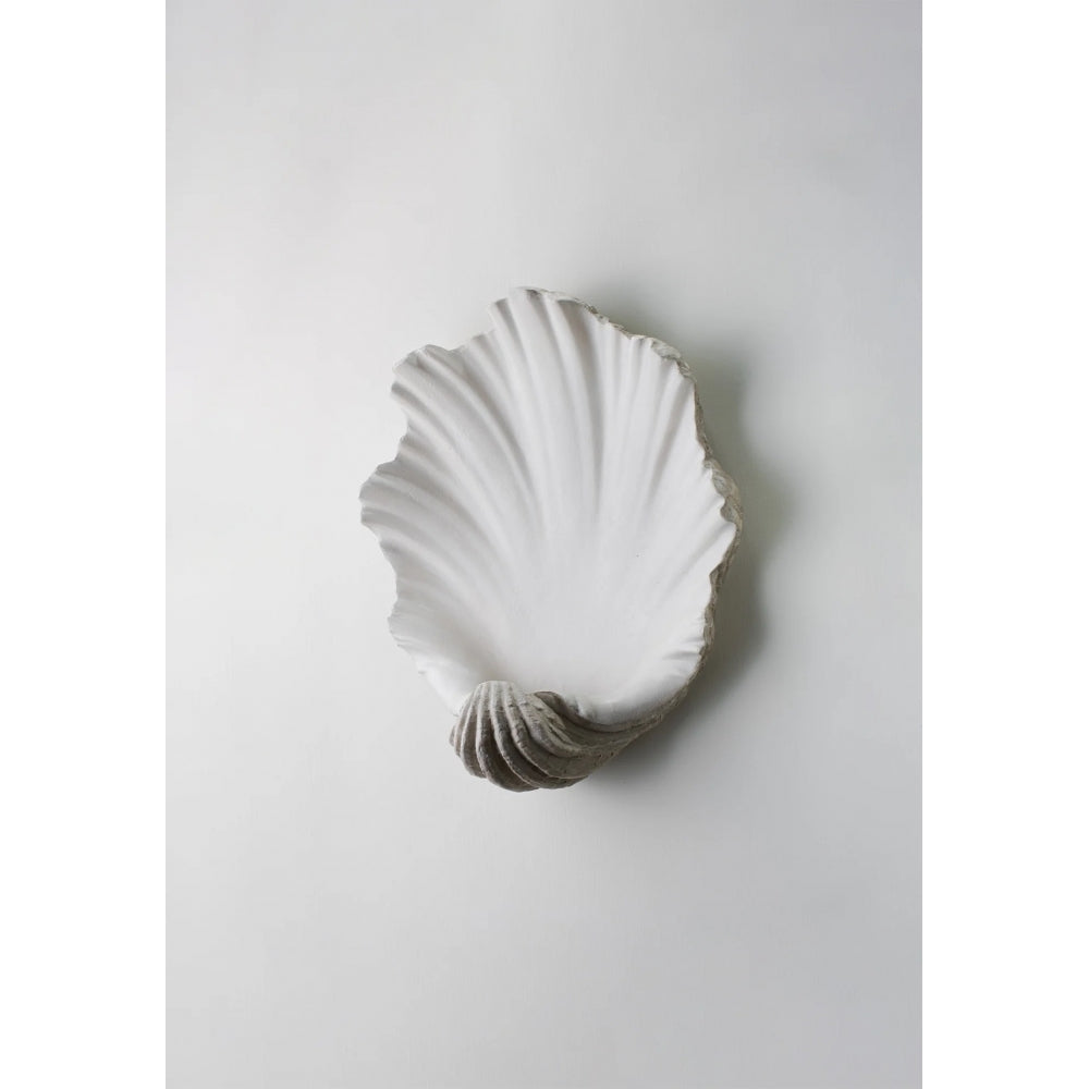 Scallop Shell Wall Light