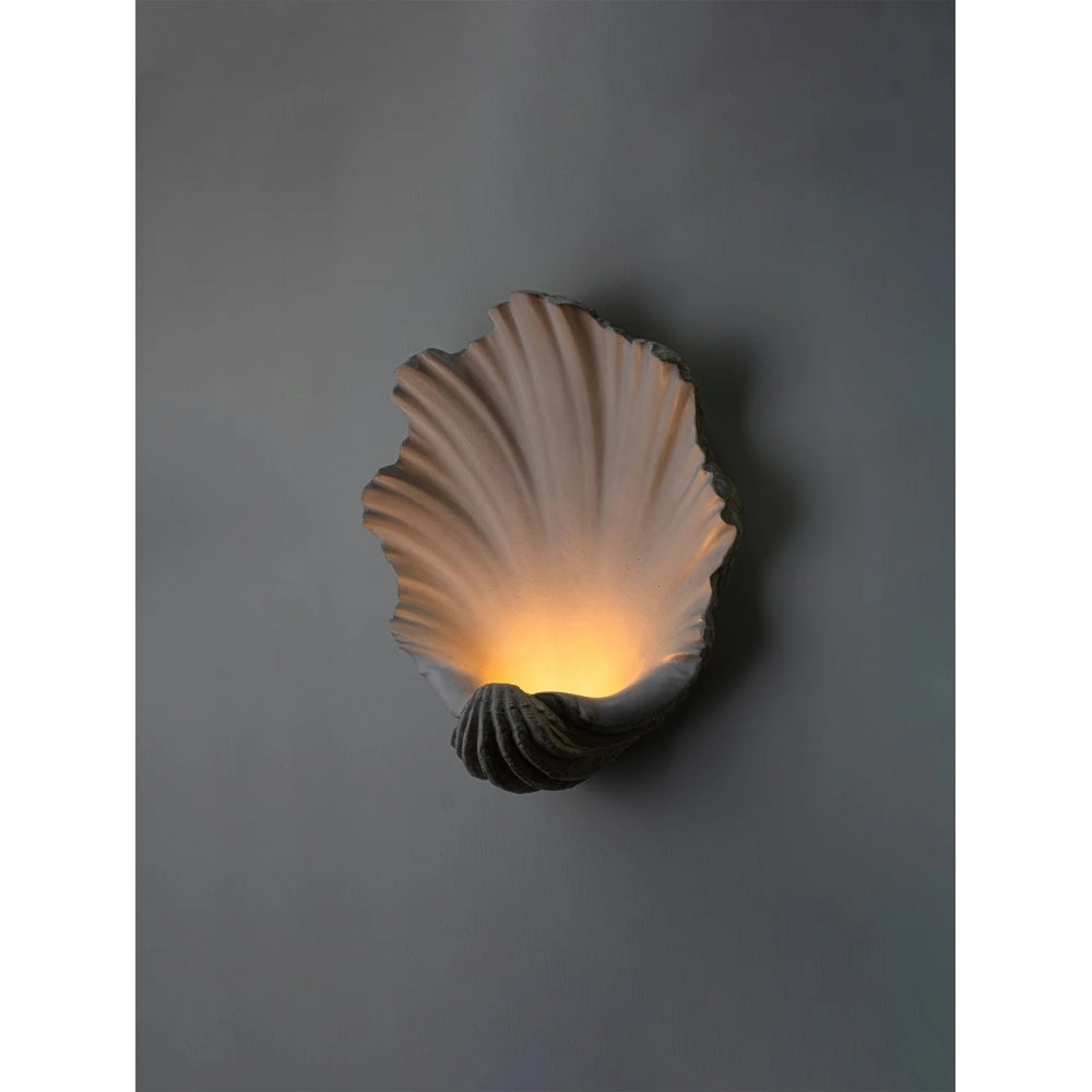 Scallop Shell Wall Light