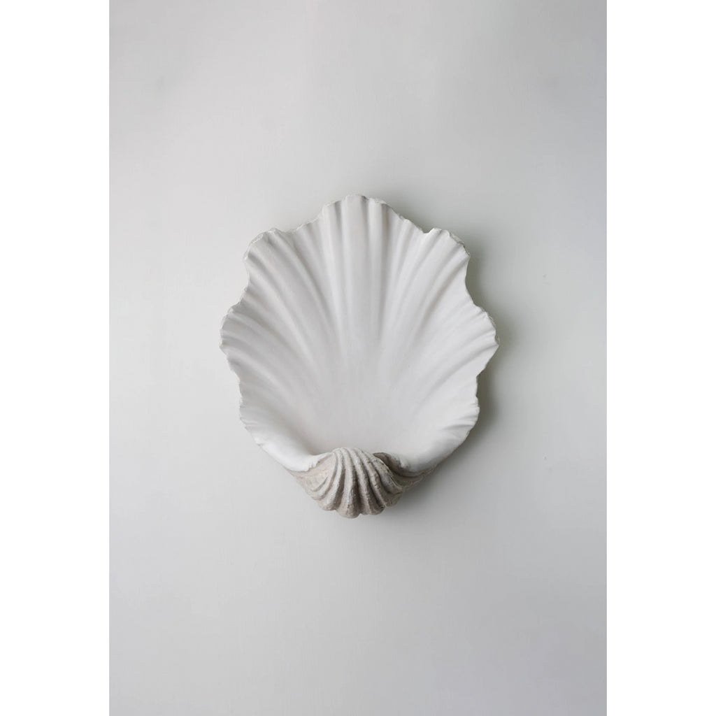 Scallop Shell Wall Light