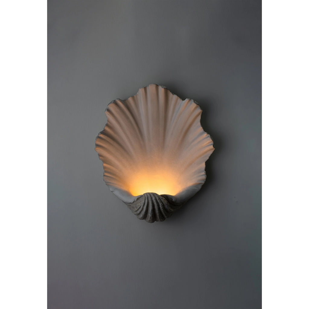 Scallop Shell Wall Light