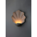 Scallop Shell Wall Light