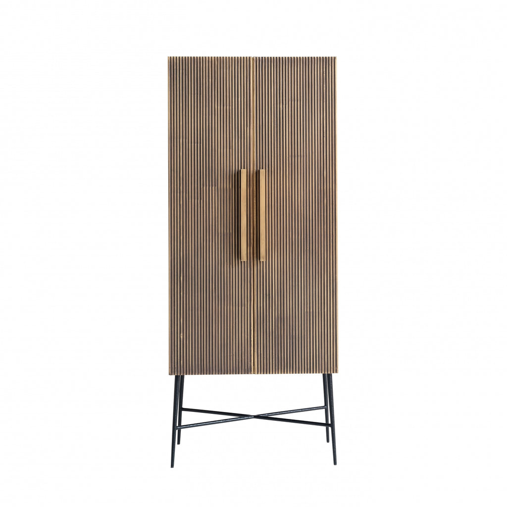 Ironville 2 Door Cabinet