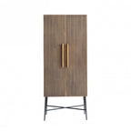 Ironville 2 Door Cabinet