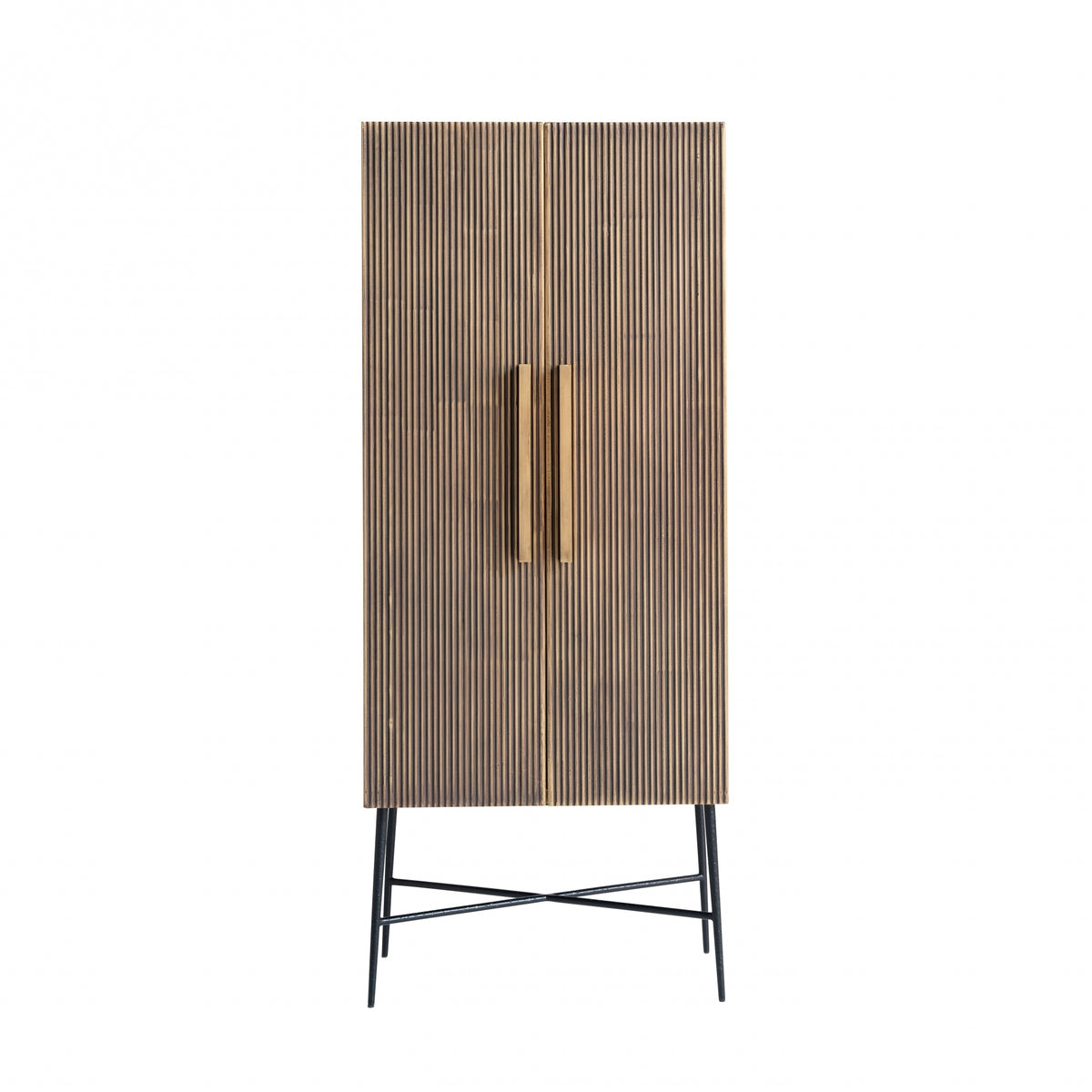 Ironville 2 Door Cabinet