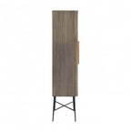 Ironville 2 Door Cabinet