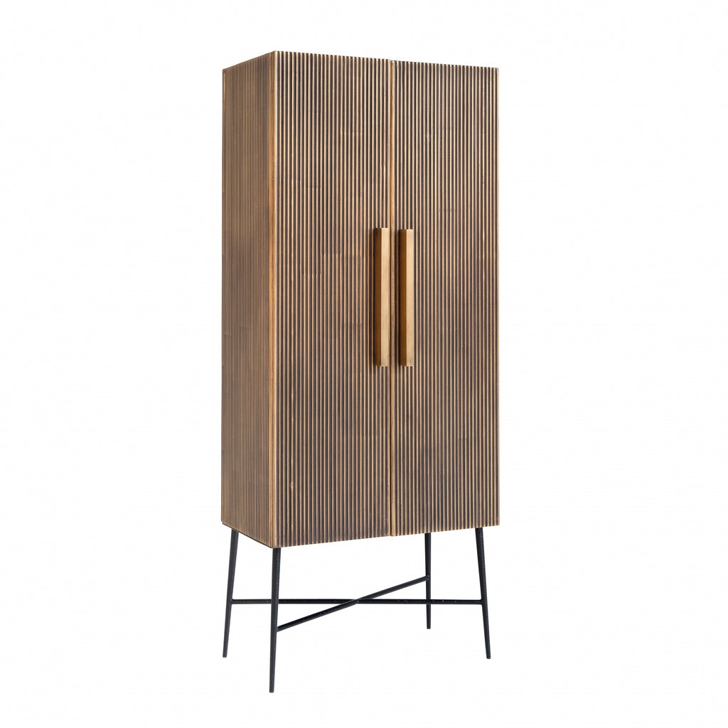 Ironville 2 Door Cabinet