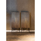 Ironville 2 Door Cabinet