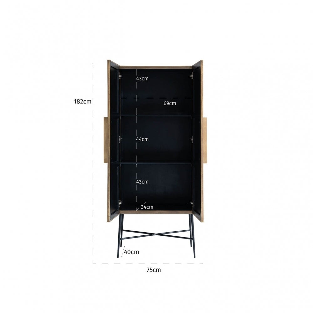 Ironville 2 Door Cabinet