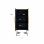 Ironville 2 Door Cabinet