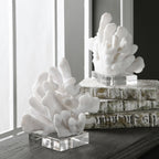 Charbel White Bookends