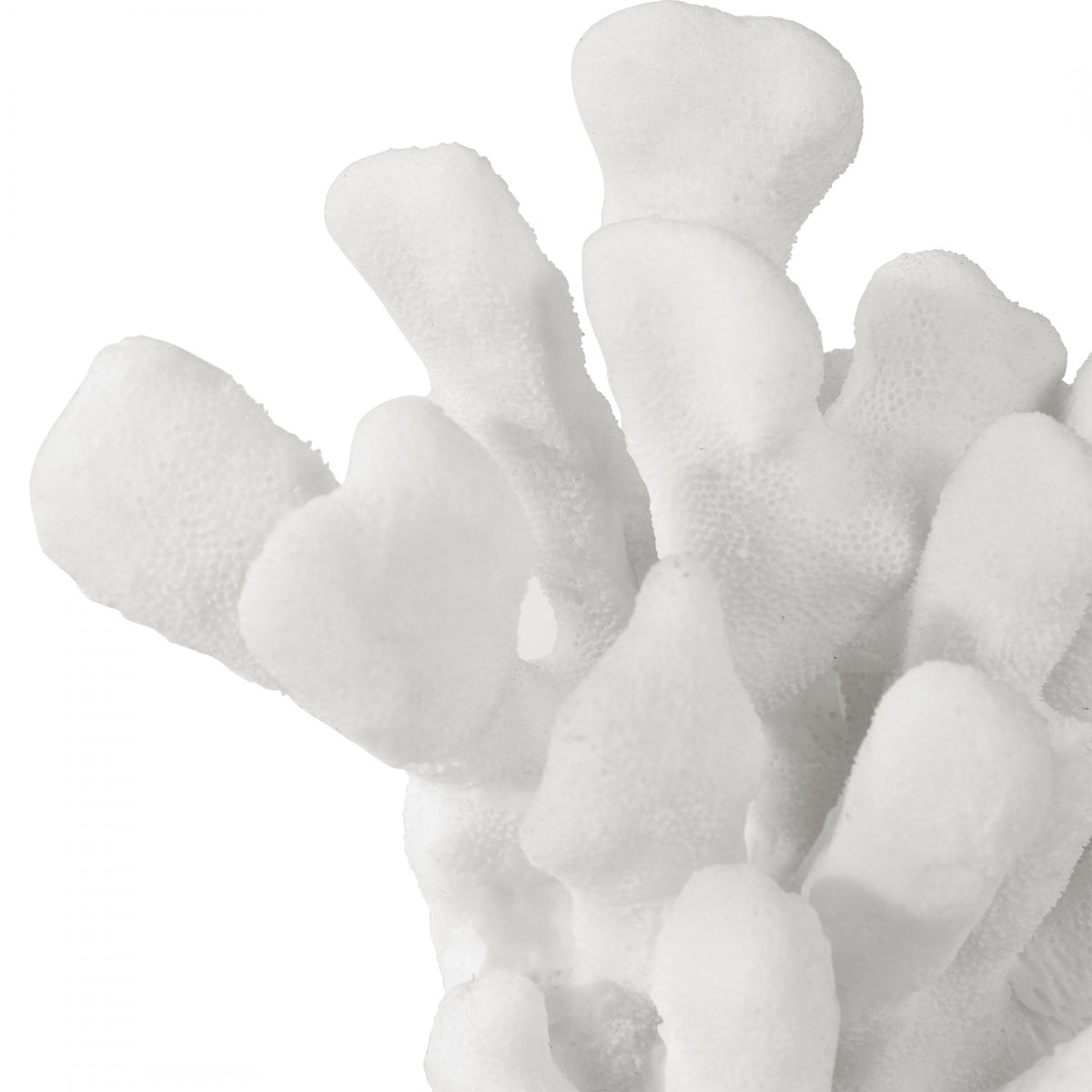 Charbel White Bookends