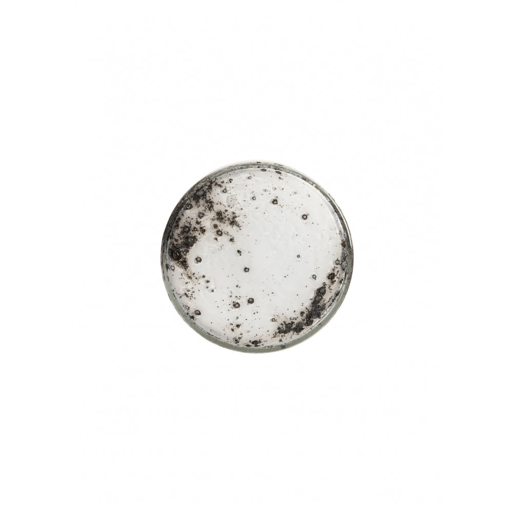Orla Wall Light