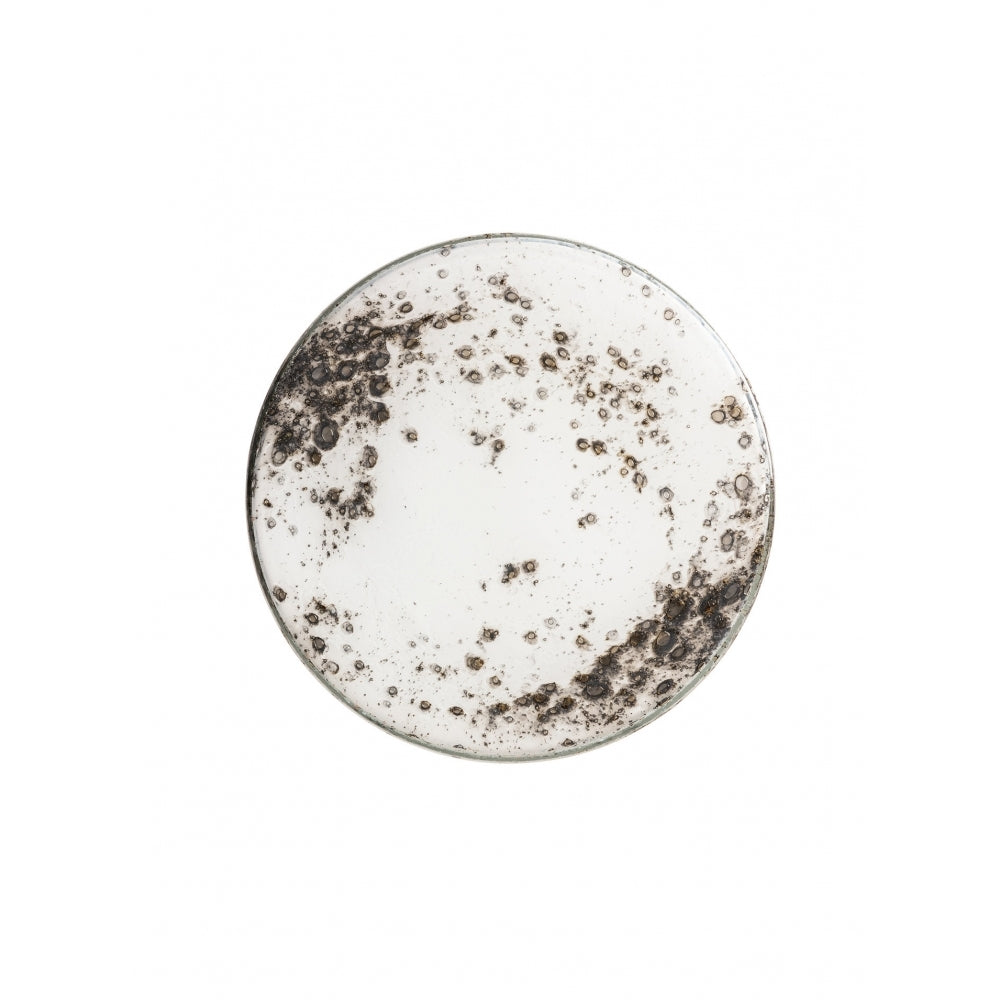Orla Wall Light
