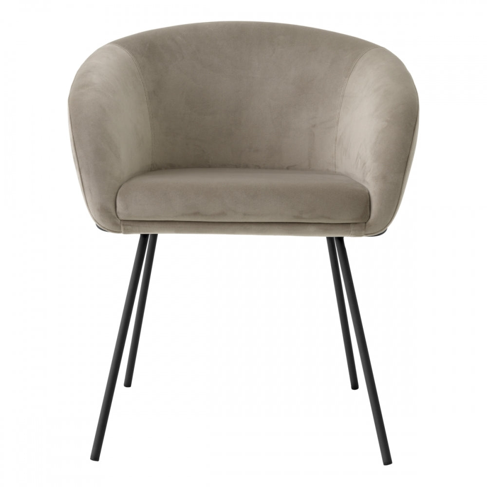 Pair of Campus Dining Chairs