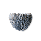 Mussel Shell Uplighter Large