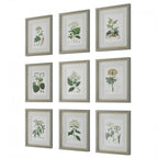Antique Botanicals Framed Prints Set Of 9