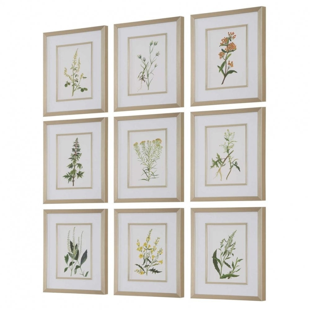 Botanical Flowers Framed Prints Set Of 9