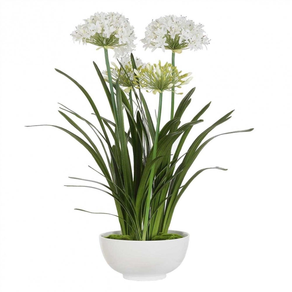 Purity Agapanthus Centerpiece