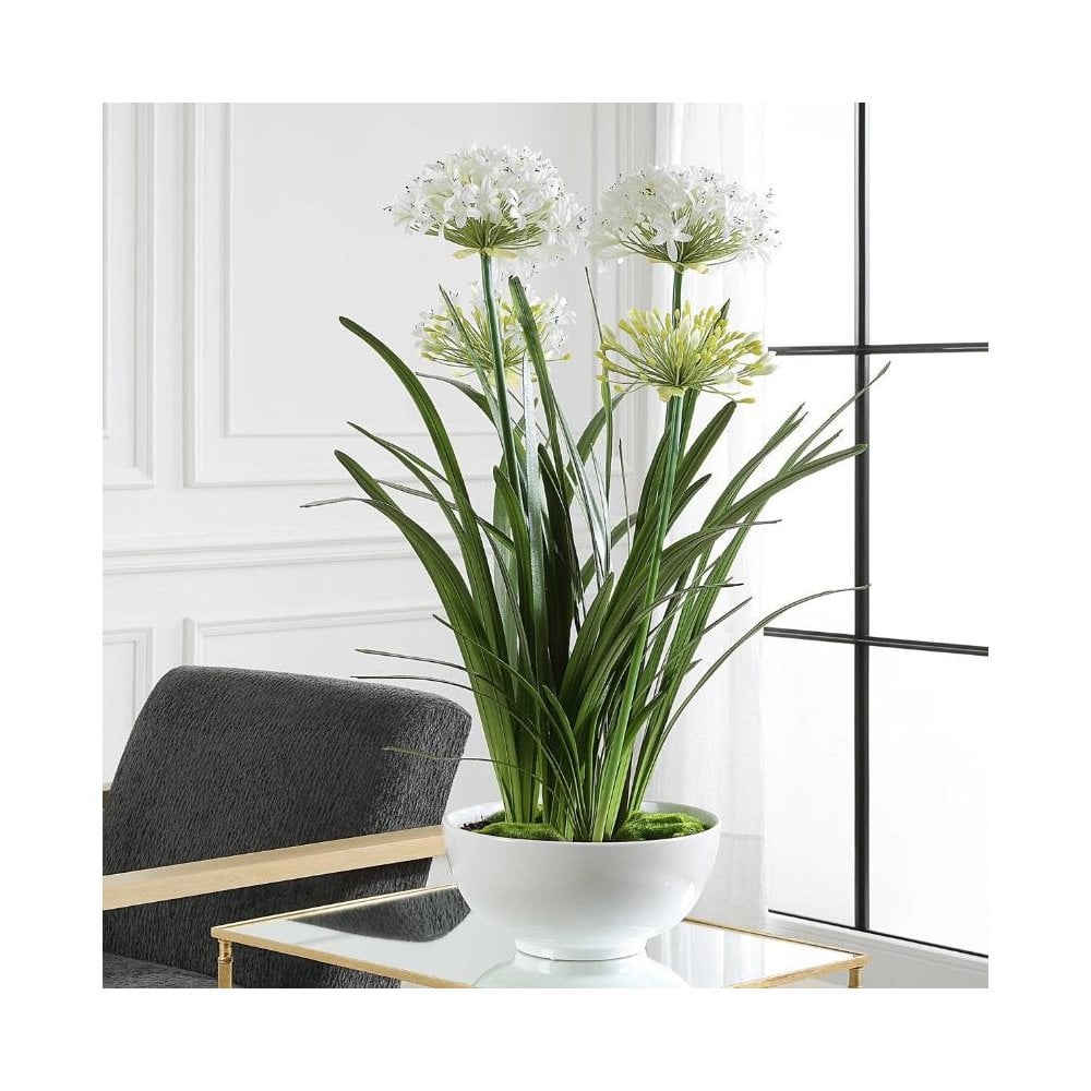 Purity Agapanthus Centerpiece