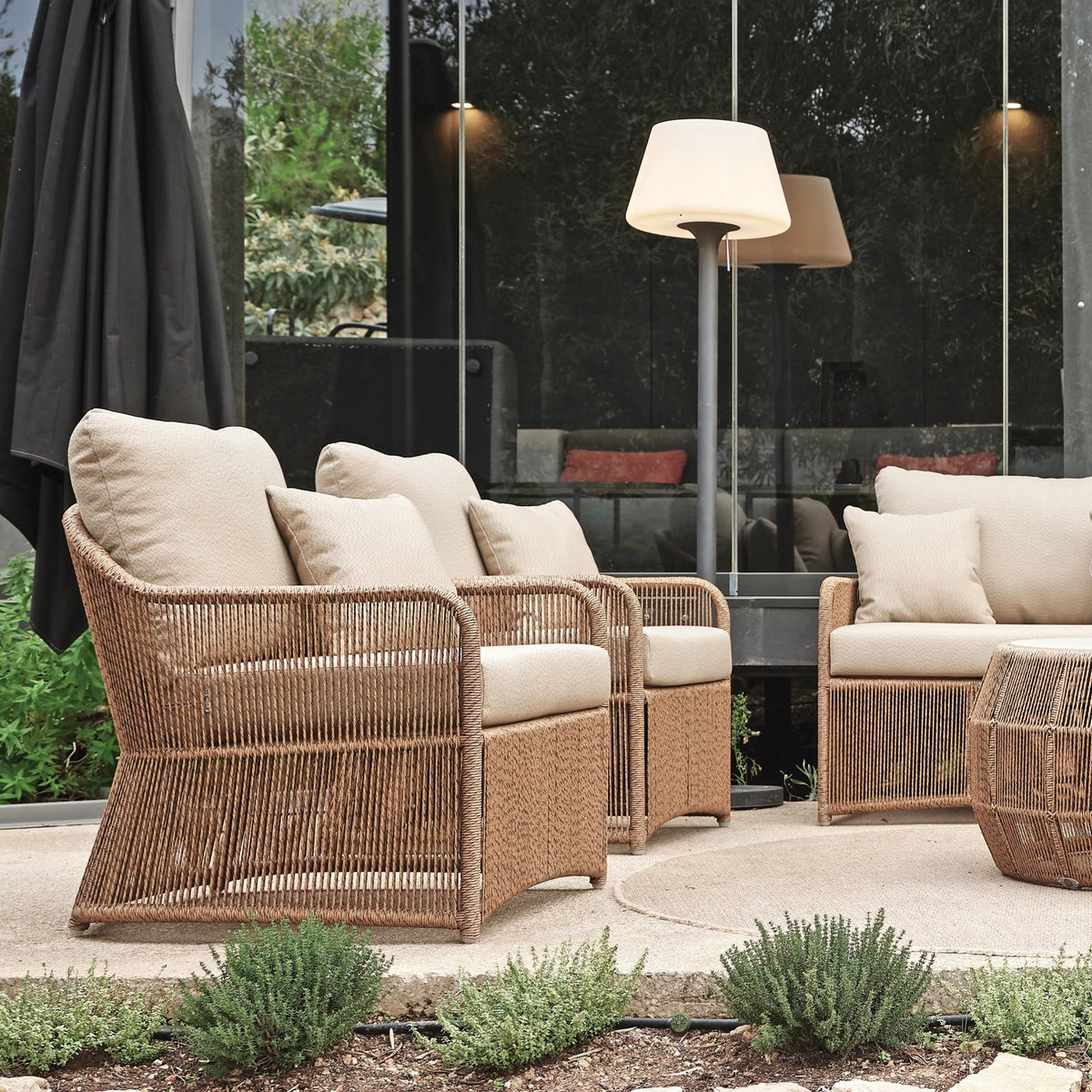 Calyxto Arm Chair