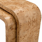Quinton set of 2 Console Tables