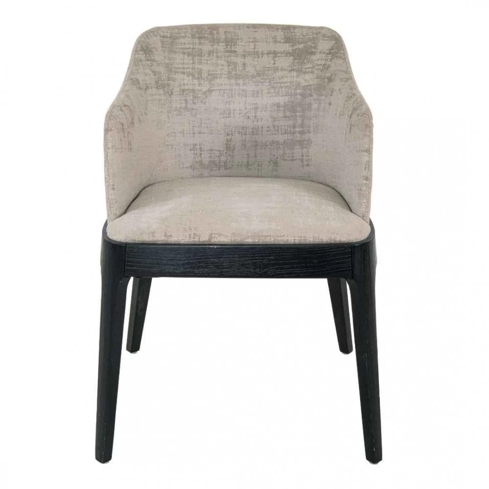 Pair of Venosa Dining chairs