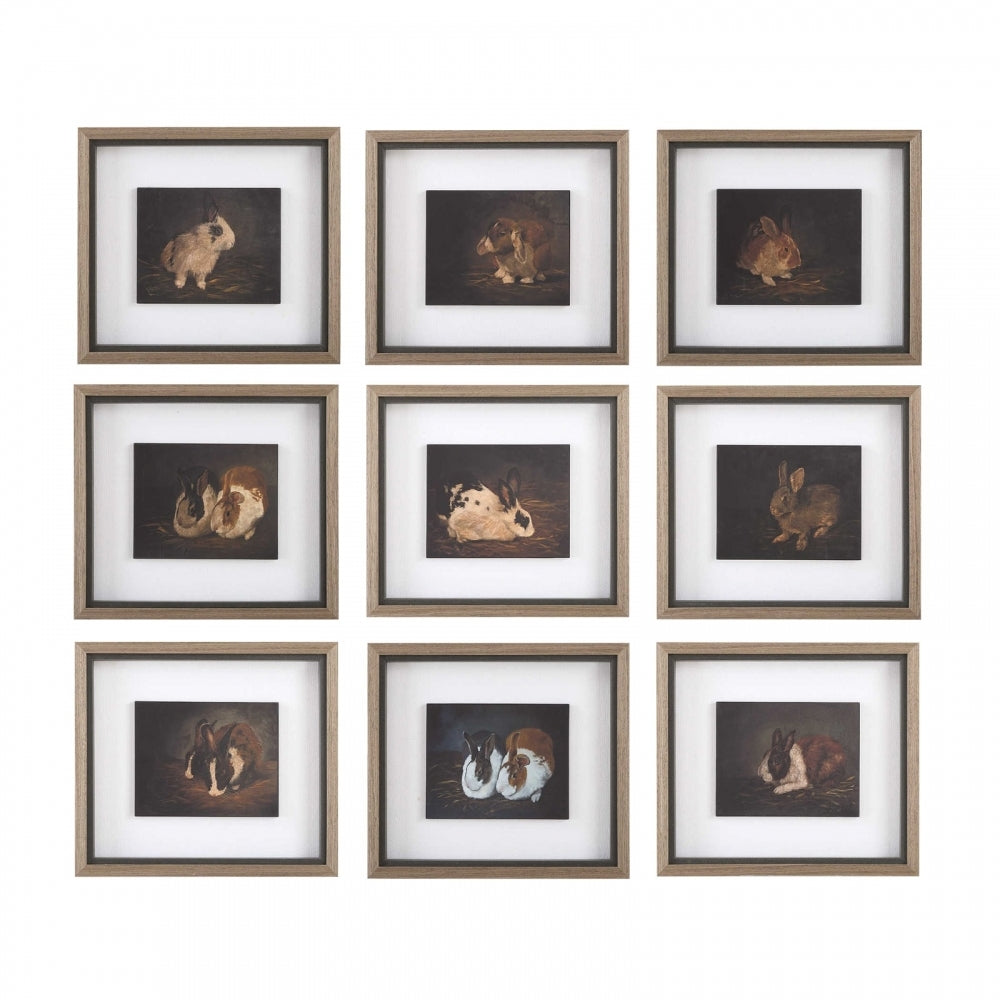 Resting Bunny Framed Prints Set Of 9