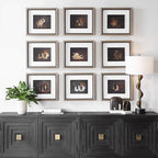 Resting Bunny Framed Prints Set Of 9