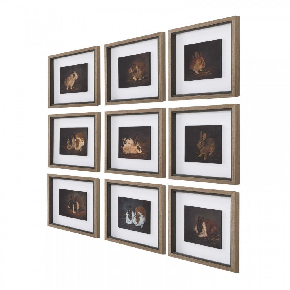 Resting Bunny Framed Prints Set Of 9