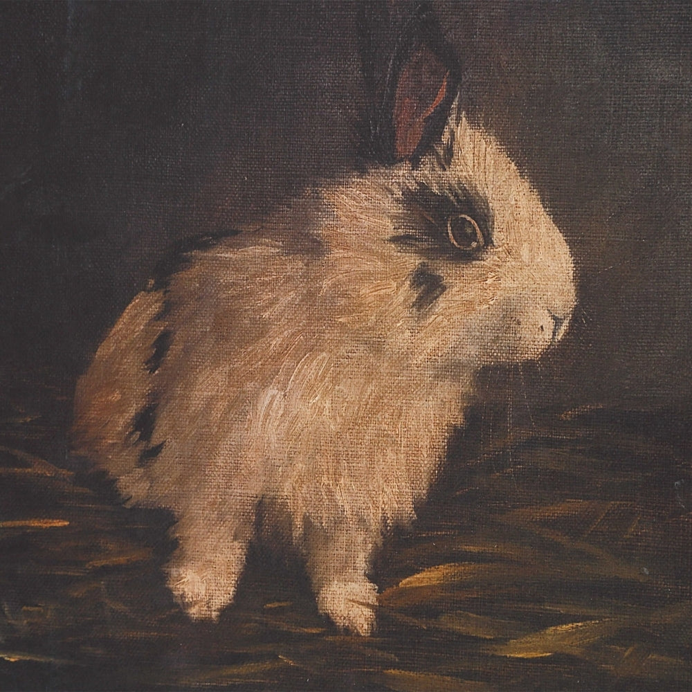 Resting Bunny Framed Prints Set Of 9