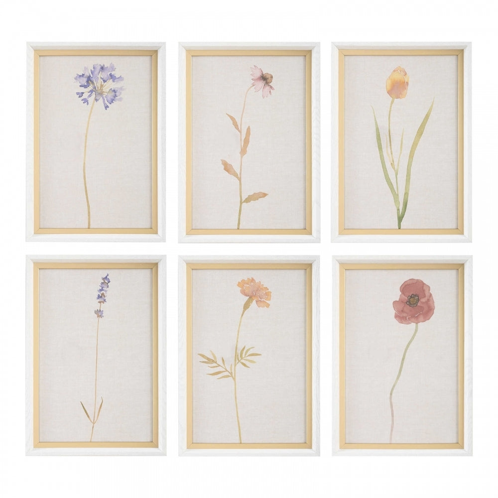 Wild Flourish Framed Prints Set Of 6