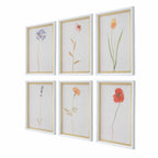 Wild Flourish Framed Prints Set Of 6