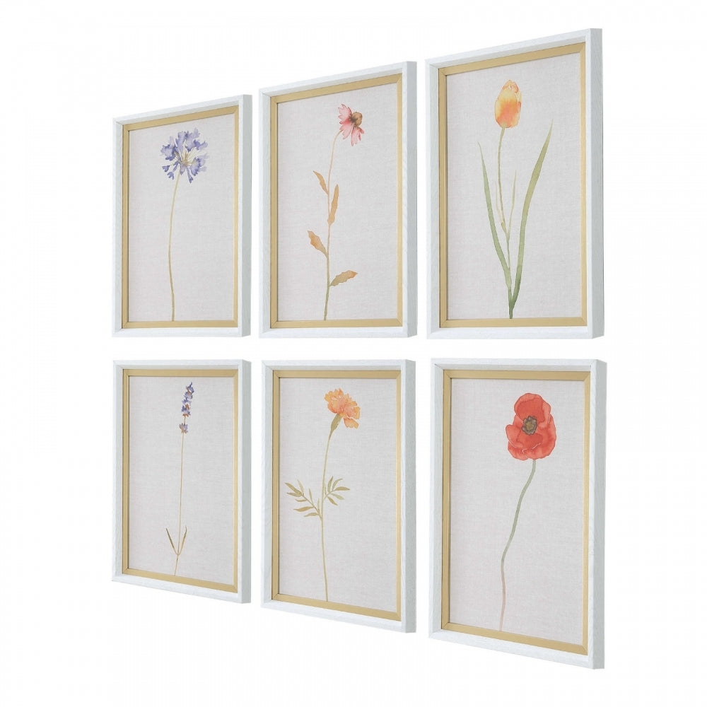 Wild Flourish Framed Prints Set Of 6