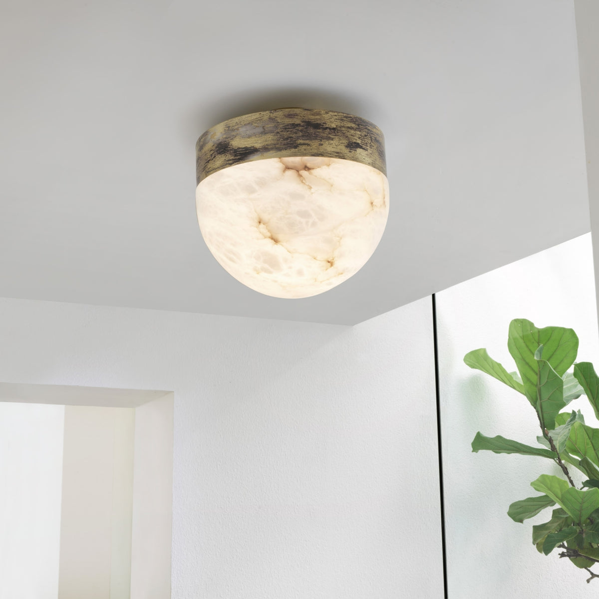 Lucid Flush Pendant