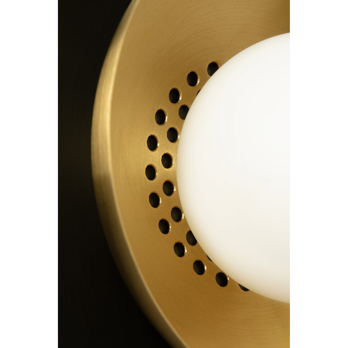 Carapace Ceiling/Wall Mounted Light