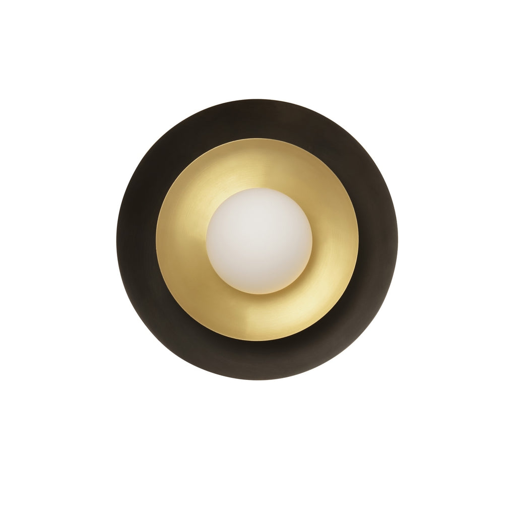 Carapace Ceiling/Wall Mounted Light