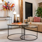 Asher Set Of 2 Coffee Tables