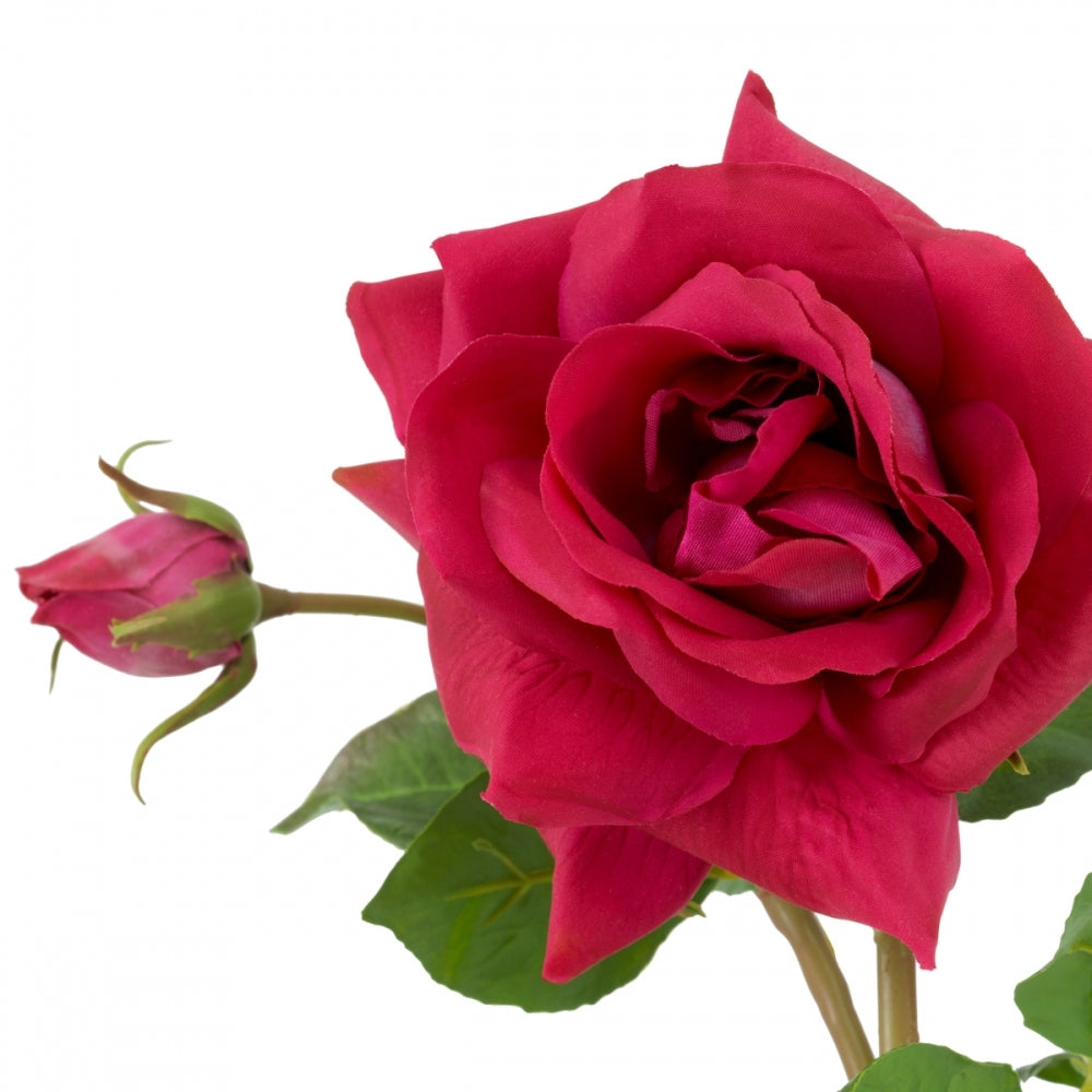 Bouquet of real touch Roses
